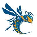 Cedarville University