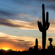 Arizona Colleges Arizona Colleges