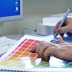 Graphic Designers Graphic Designers