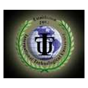 International Technological University (ITU)