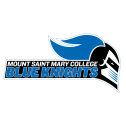 Mount Saint Mary College