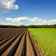 Agricultural Communication/Journalism Colleges Agricultural Communication/Journalism Colleges