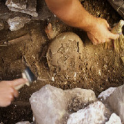Archeology Colleges Archeology Colleges