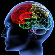 Child and Adolescent Psychiatry Residency Program Colleges Child and Adolescent Psychiatry Residency Program Colleges