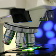 Comparative and Laboratory Animal Medicine (Cert, MS, PhD) Colleges Comparative and Laboratory Animal Medicine (Cert, MS, PhD) Colleges
