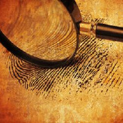Forensic Pathology Residency Program Colleges Forensic Pathology Residency Program Colleges
