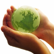 Forestry Technology/Technician Colleges Forestry Technology/Technician Colleges