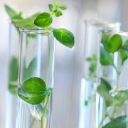 Hydrology and Water Resources Science Colleges Hydrology and Water Resources Science Colleges