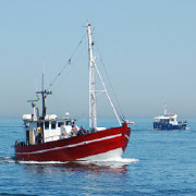 Ocean Engineering Colleges Ocean Engineering Colleges