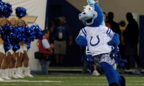 14 Colleges With Weird Live Animal Mascots